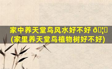 家中养天堂鸟风水好不好 🦊 (家里养天堂鸟植物树好不好)